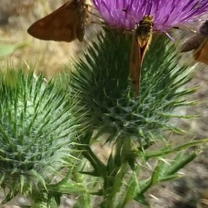 Meet your Posher, Ruth